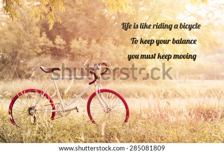 life quote. Inspirational quote by Albert Einstein on image Sport Vintage Bicycle with summer grass field