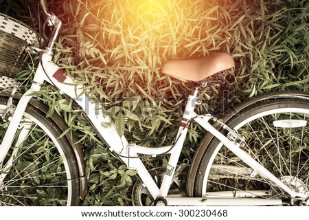 Vintage Bicycle with be fresh field : vintage filter