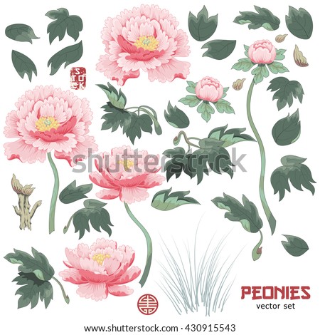 Set of elements of  peony flower, leaves and grass to create designs. Vector illustration imitates traditional Chinese ink painting.