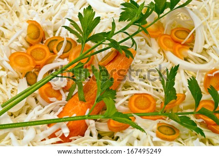 Chopped cabbage, chopped carrots and celery branches