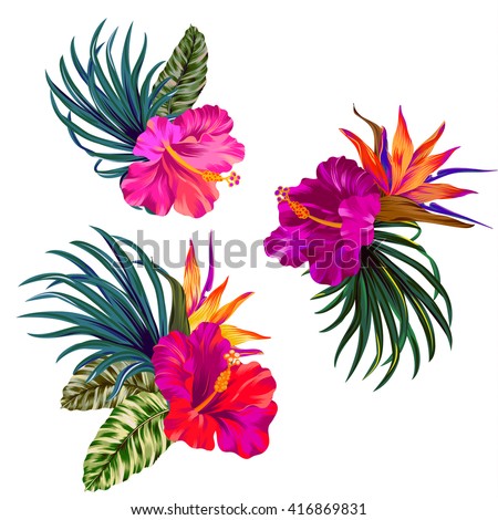 Bouquet with hibiscus flowers with pink petals, tropical leaves, and floral elements on white background. Watercolor with summer garden and wild flowers. design frame with vector botanical elements.