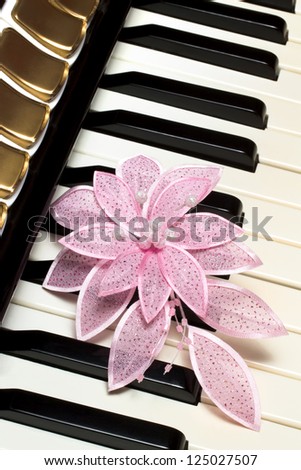 Pink flower on the keyboard accordion