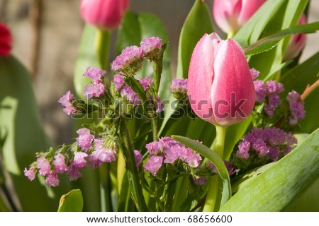 Spring garden sunny flowers bouquet