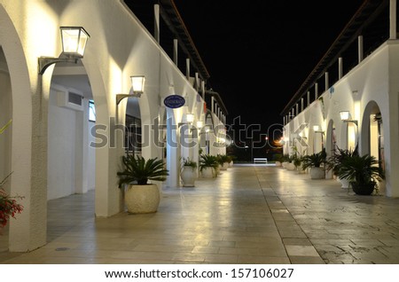 The brightly illuminated night street with light arches and walls, and a marble pavement (night shooting)