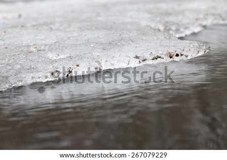 The ice edge with splashes of forest particles, above the stream of melt water. Close-up of melting ice. Early spring close-up scenes