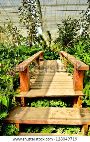 A wooden bridge leads into a green plant in botanic Garden Pavilion