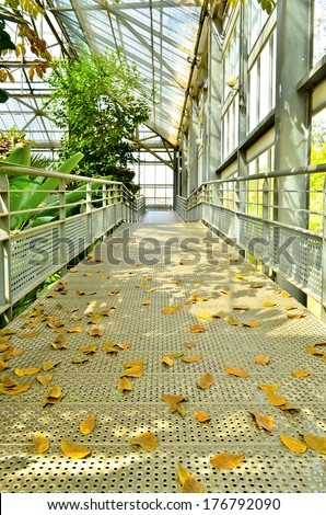A wooden bridge leads into a green plant in botanic Garden Pavilion