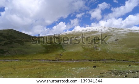 High mountain grasslands on Tibetan Plateau, China