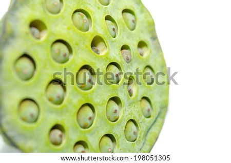 green lotus seeds. Isolate on white background