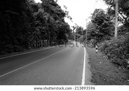 Forest road at Khaoyai National Park. A black and white photo.