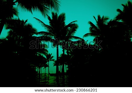 Many black palm on a night beach. Vintage
