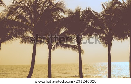 Filtered Vintage Retro Styled Palm Trees on sky