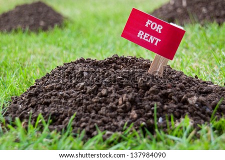 Vacant property (molehill) - For Rent