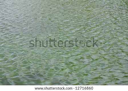 ripple on water at day