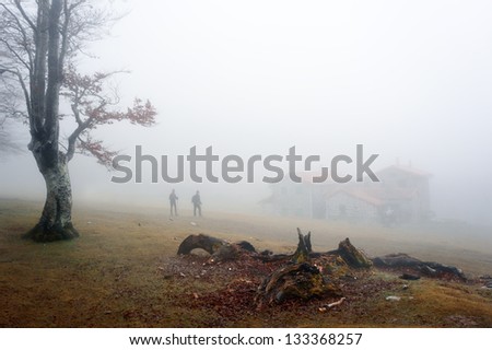 Morning hiking in the mountain with fog a cabin and a tree