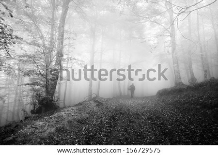 person mushroom hunting in autumnal forest in the morning