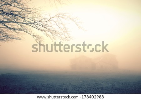 mysterious house in the forest with fog and a tree and vintage effect