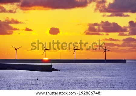 wind turbines on sea at sunset