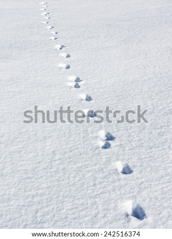 trail of footprints in the snow
