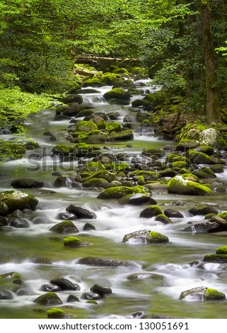 Beautiful cascading stream with mossy rocks in the Great Smoky Mountains