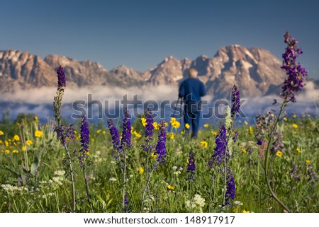 Older male photographer views the yellow asters and purple lupines fronting cloud-shrouded Teton peaks
