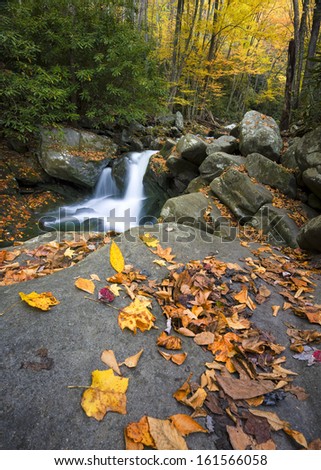 Little River, Lynn Camp Prong,  in Great Smoky Mountain National Park with fall colors on display