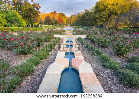 Beautifully landscaped urban rose garden on a colorful autumn day in Texas