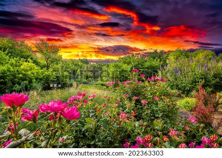 Rural countryside landscape featuring pink roses and colorful skies