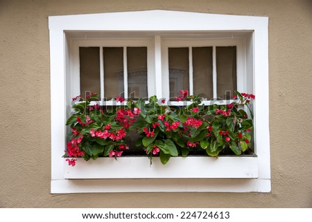 Bright red flowers accenting a white frame window set within an adobe wall in Santa Fe, NM