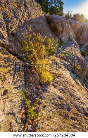 Early morning golden light bathing the side of a steep cliff in the northern New Mexico desert