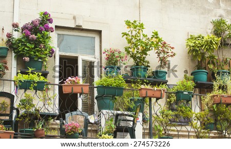 Small herb and flower garden built on terrace