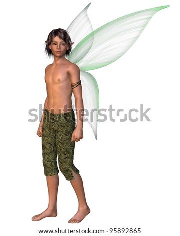 boy wings
