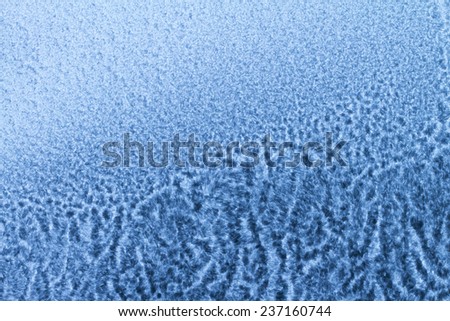 winter pattern on the white background