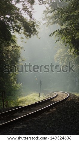 fantastic ride with the railroad through the forest in the morning when the sunbeams falling through the trees on the railroad tracks