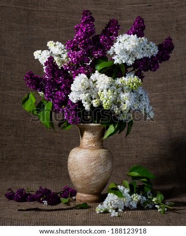 Still life with  blooming branches of lilac in vase