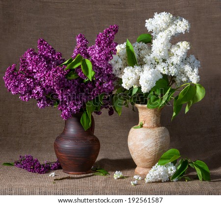 Still life with blooming branches of lilac in vases