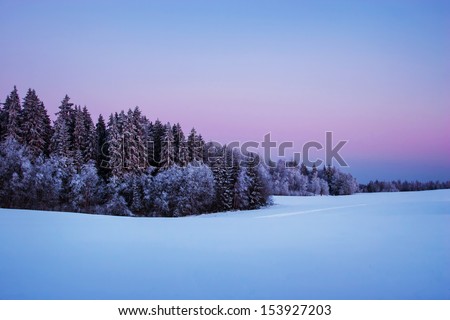 Nordic Winter Twilight