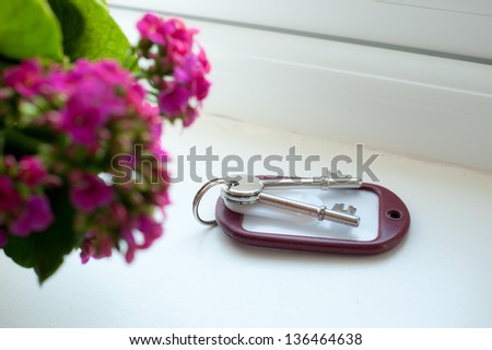 Room key on a windowsill next to a potted plant