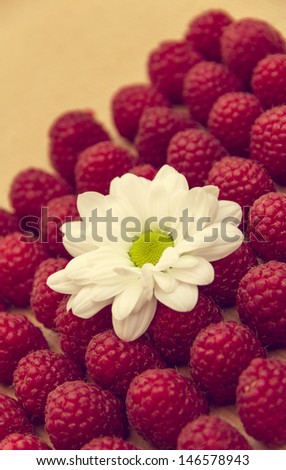Flower with Raspberries