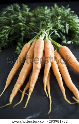 Organic Carrots on black background