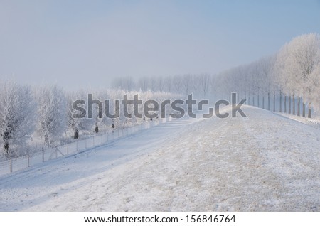Dike with rows frost trees in wintry landscape