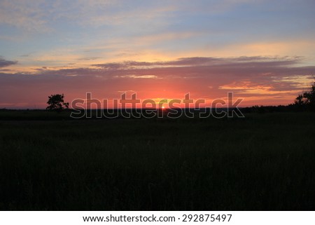 Summer red sunset and a calm field