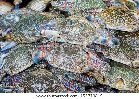 Fresh raw flower crab or blue crab in sedfood market