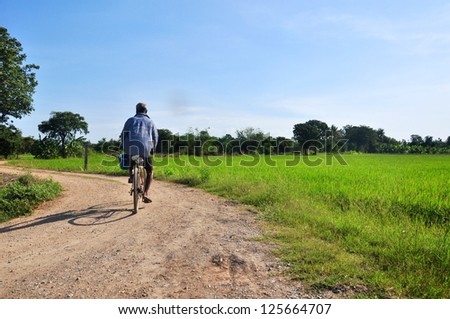 The old man ride bicycle on country road