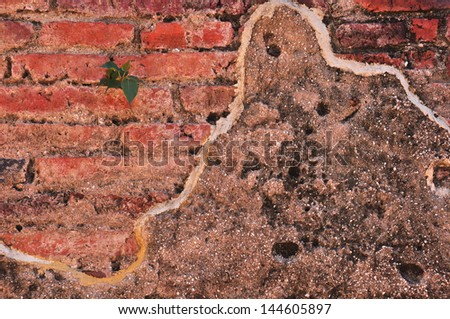 Abstract close-up brick wall backgroud at Thailand