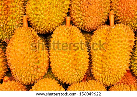 Durian, the king of fruit of South East Asia isolated,Thailand
