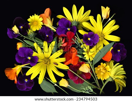Beautiful natural composition made from yellow and violet flowers and leaves
