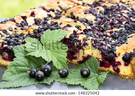 baked cake with black currant