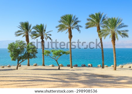 Vivid bright and vibrant saturated scenery of Dead Sea with palm trees on sunshine coast