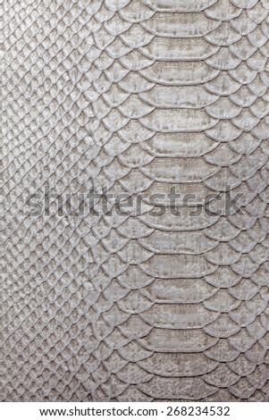 rich texture reptile skin smooth background